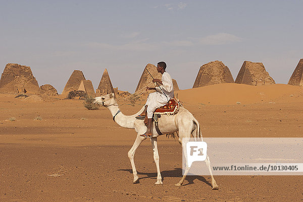 Einheimischer reitet auf Dromedar vor Pyramiden des Nordfriedhofs von Meroë  nubische Wüste  Nubien  Nahr an-Nil  Sudan  Afrika