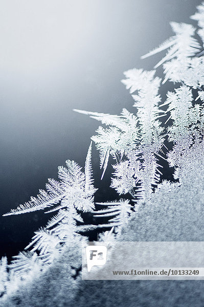Close-up of frost
