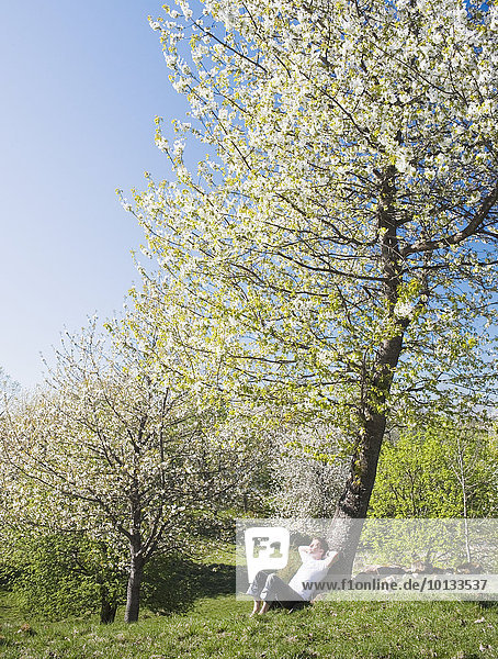 Mann Entspannung blühen Baum unterhalb