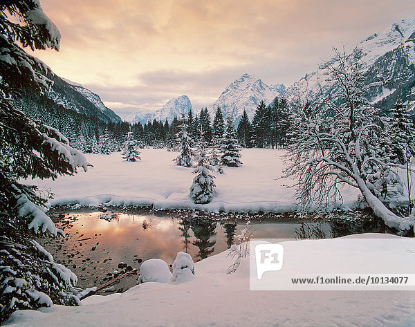 Hohe Munde and Gehrensspitze in winter,  Tyrol,  Austria,  Europe