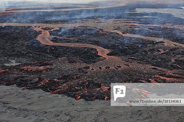 Lava field  Holuhraun  Iceland  Europe