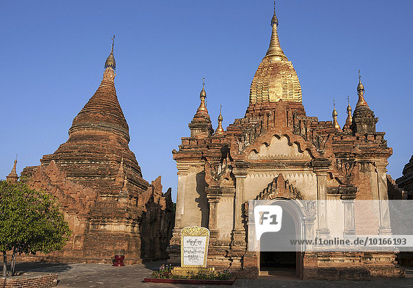 Alte Backstein-Pagoden  Tempel  Abendlicht  Bagan  Division Mandalay  Myanmar  Asien