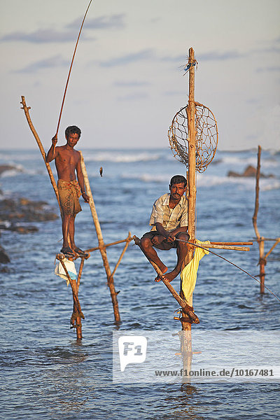 Stelzenfischer in der Abendsonne  Weligama  Südprovinz  Indischer Ozean  Ceylon  Sri Lanka  Asien