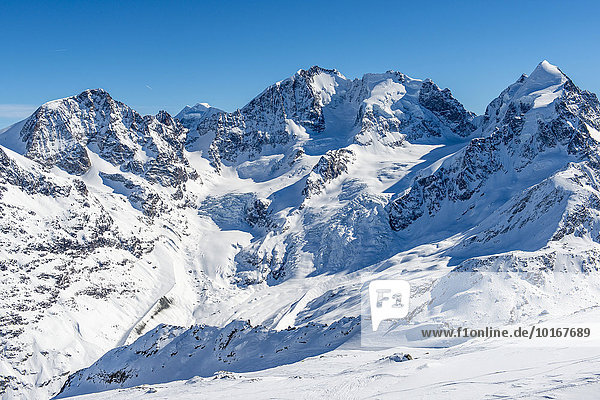 Ausblick auf die Berninagruppe  links Piz Morteratsch  Mitte Piz Bernina  rechts Piz Scerscen  Piz Roseg  Schweizer Alpen  Engadin  Graubünden  Schweiz  Europa