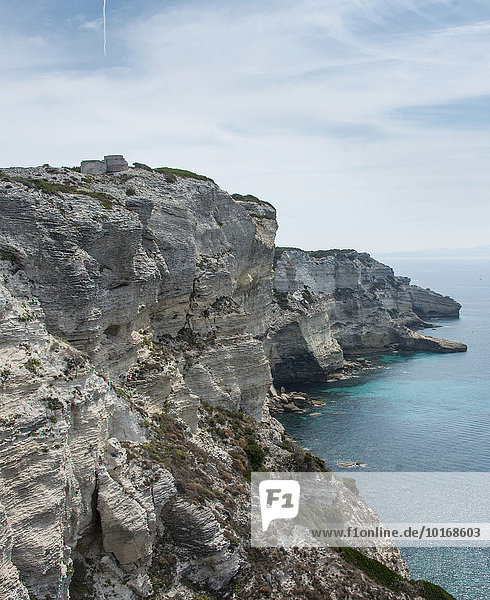 Steep coast  chalk cliffs  Bonifacio  Corsica  France  Europe