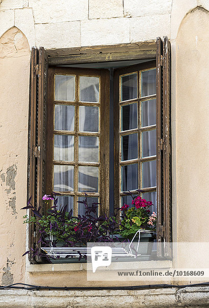 Holzfenster mit Blumen  Bonifacio  Korsika  Frankreich  Europa