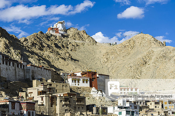 Der Alte Königspalast  in der Altstadt  Namgyal Tsemo Gompa und Tsemo Fort hoch oben auf einem Bergrücken  Leh  Jammu und Kaschmir  Indien  Asien