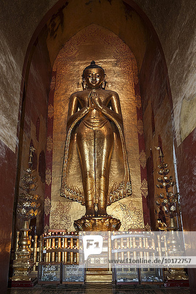 Stehender vergoldeter Buddha  Buddha-Statue  Ananda-Tempel  Bagan  Division Mandalay  Myanmar  Asien