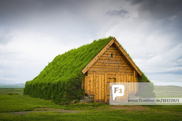 Holzhaus mit Grasdach  Skalholt  Island  Europa
