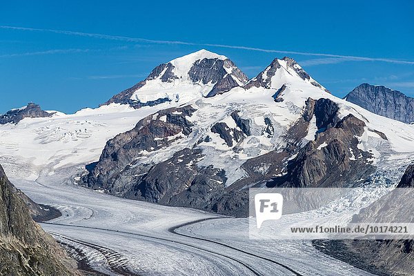 Jungfraujoch mit Mönch und Eiger im Sommer  Südseite  mit grosser Aletschgletscher  Ausblick von Eggishorn Bergstation  Wallis  Schweiz  Europa