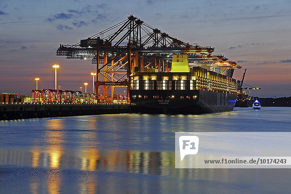 MSC Zoe  weltgrößtes Containerschiff  Waltershofer Hafen  Hamburg  Deutschland  Europa
