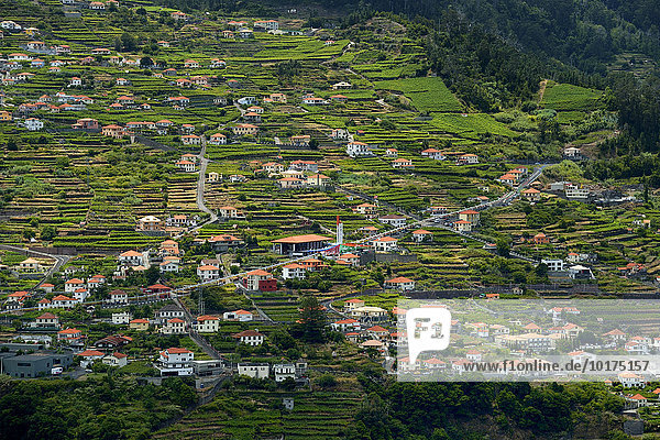 Ausblick auf das Dorf  Corrida das Feiteiras  Madeira  Portugal  Europa