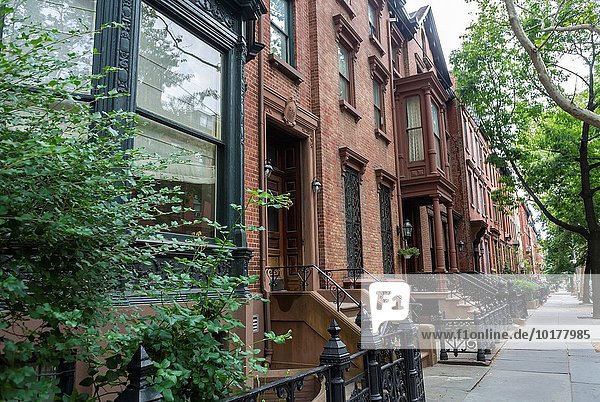 Vereinigte Staaten von Amerika USA Städtisches Motiv Städtische Motive Straßenszene New York City Stein Gebäude Apartment braun