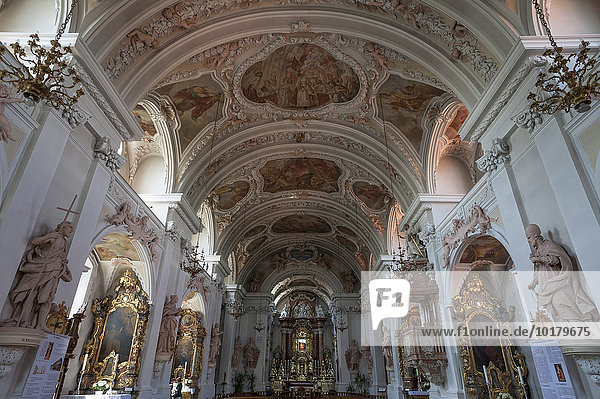 Gewölbe und Altarraum der barocken Wallfahrtskirche Maria Hilf  Amberg  Oberpfalz  Bayern  Deutschland  Europa