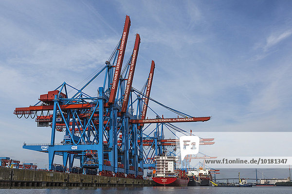 Ladearbeiten im Container Terminal Altenwerder  CTA  Hamburger Hafen  Hamburg  Deutschland  Europa