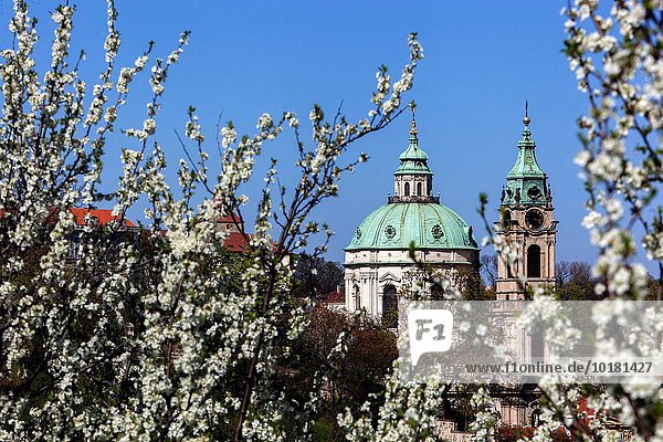 Prag Hauptstadt blühen Hügel Kirche Tschechische Republik Tschechien Ansicht Petrin