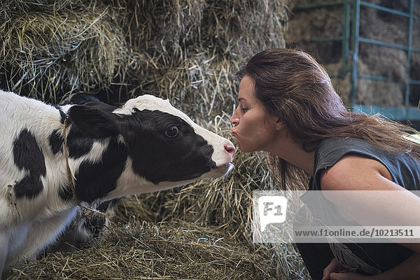 Caucasian woman kissing cow in barn