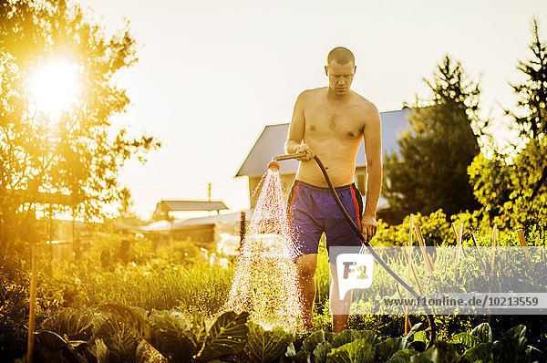 Wasser Europäer Mann Garten Pflanze Hinterhof