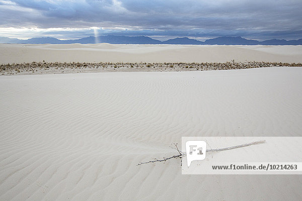 Vereinigte Staaten von Amerika USA weiß Monument Sand Ast Düne Abfall New Mexico