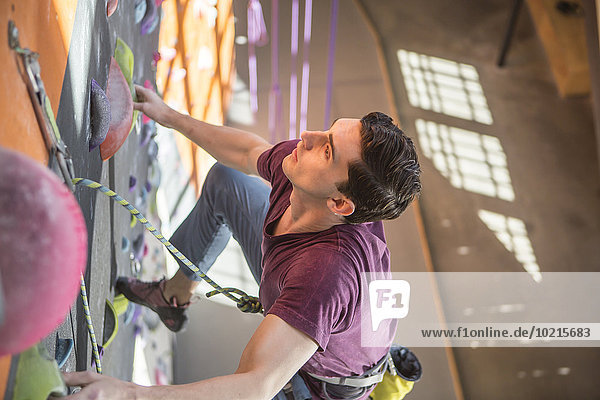 hoch oben Fitness-Studio Wand Athlet Ansicht Flachwinkelansicht Winkel klettern