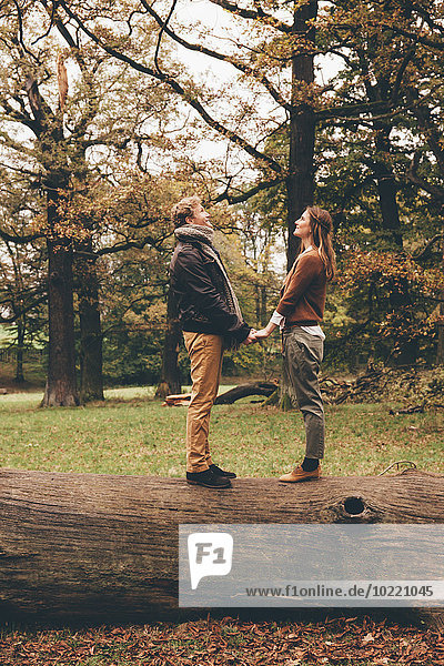 Young couple in love holding hands on a tree trunk in an autumnal park