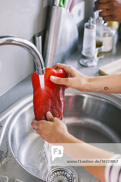 Frauenhände reinigen rote Paprika mit fließendem Wasser