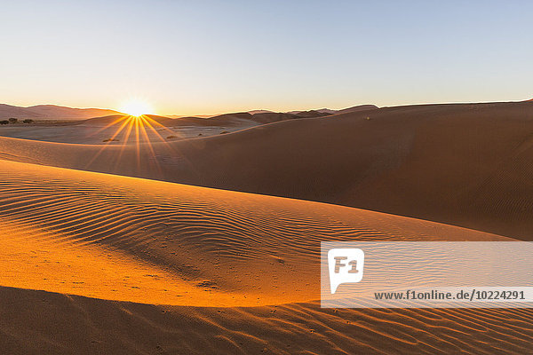 Afrika  Namibia  Namibwüste  Blick auf Wüstendünen im Namib-Naukluft-Nationalpark