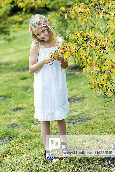 Porträt eines lächelnden Mädchens in weißem Sommerkleid und Blumen