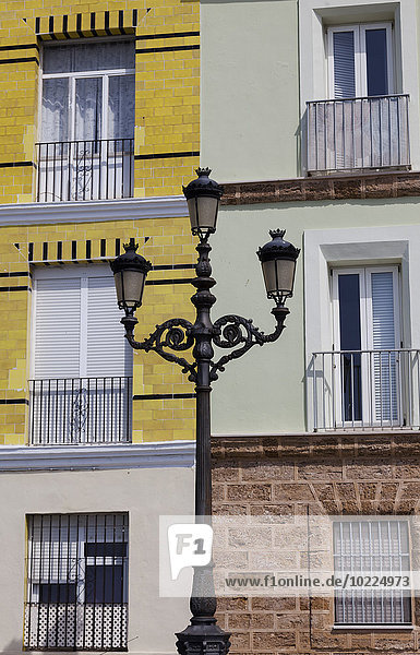 Spain  Cadiz  candelabrum in front of facades