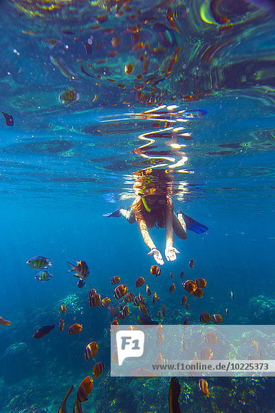 Indonesia  Bali  young woman snorkeling with fish