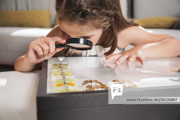 Girl looking at butterfly preparations with magnifying glasses