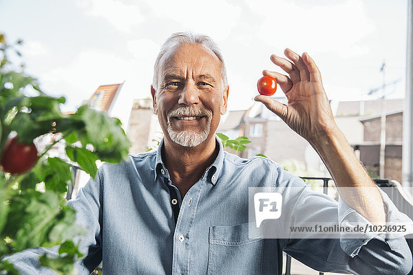 Porträt eines älteren Mannes  der eine Tomate von seinem Balkon hält