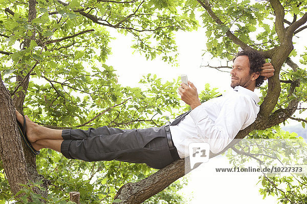 Deutschland  entspannter Geschäftsmann im Baum liegend mit Blick aufs Handy