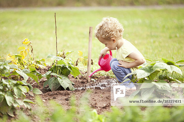 Kleines Mädchen hockt im Garten und gießt Pflanzen.
