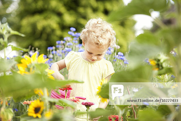 Kleines Mädchen  das im Garten steht und Blumen gießt.