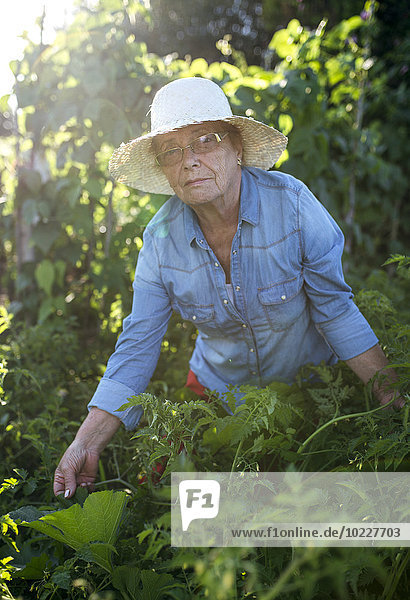Porträt einer älteren Frau mit Strohhut im Garten