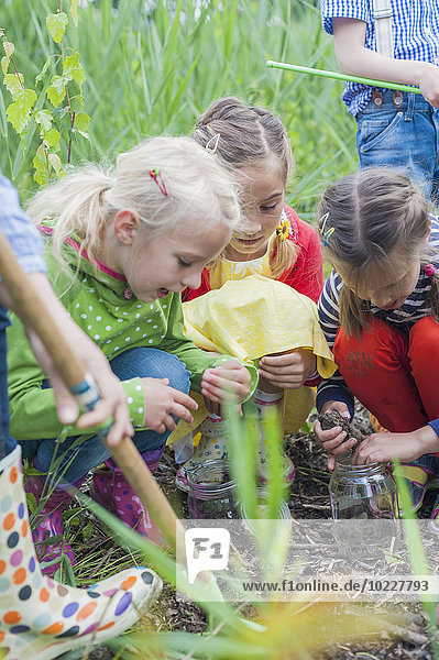 Deutschland  Kinder sammeln Würmer in der Natur