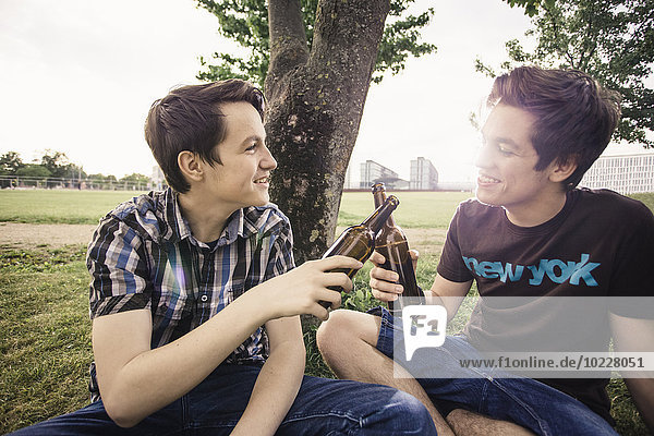 Germany  Berlin  two teenage boys sitting under a tree toasting with beer bottles