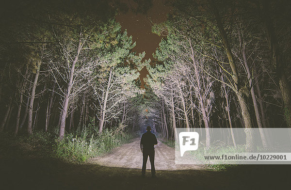 Rückansicht eines Mannes  der nachts auf einem Waldweg steht und den Wald mit einer Taschenlampe beleuchtet.