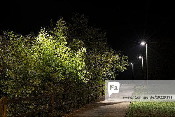Spanien  Naron  Spaziergang in einem von Straßenlaternen beleuchteten Park bei Nacht