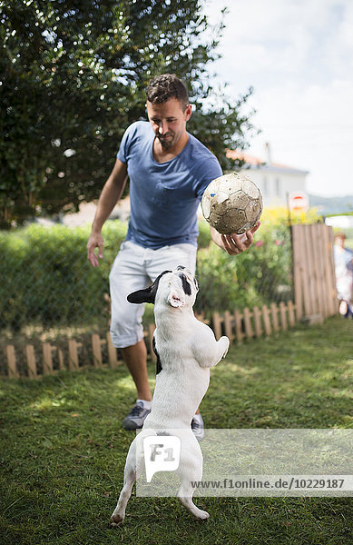 Mann mit einem Ball  der mit einer französischen Bulldogge spielt.