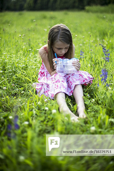 Kleines Mädchen sitzend auf einer Wiese mit Insektendose