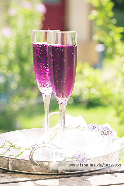 Lila Champagner in Gläsern  Lavendelblüten und Tüll auf Tablett