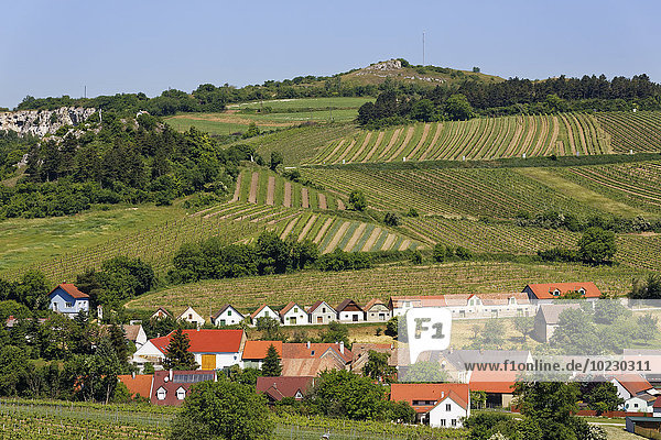 Österreich  Niederösterreich  Weinviertel  Falkenstein  Kreuzberg und Kellergasse
