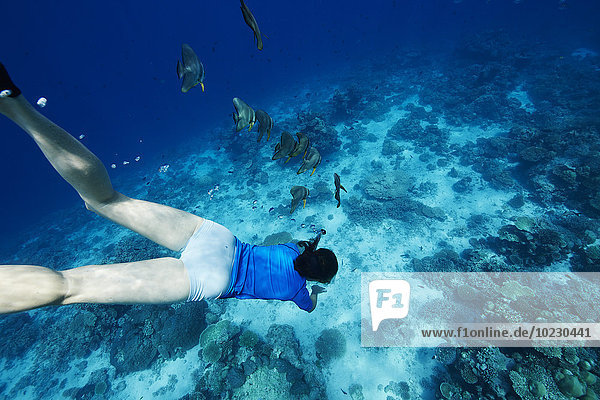 Maldives  fish and woman snorkeling in the Indian Ocean
