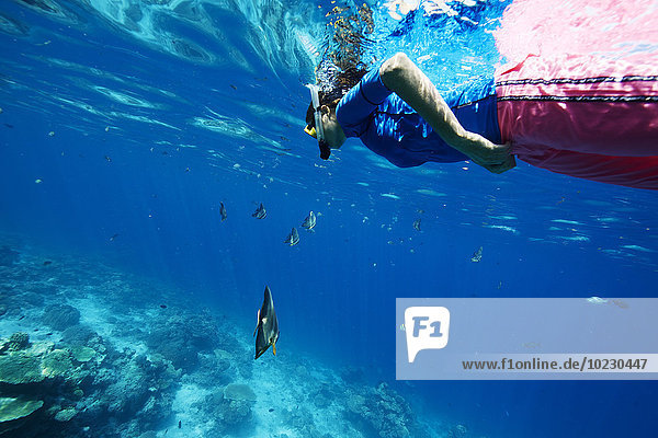 Malediven  Frau beim Schnorcheln im Indischen Ozean