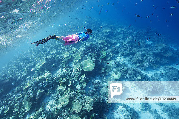 Maldives  woman snorkeling in the Indian Ocean