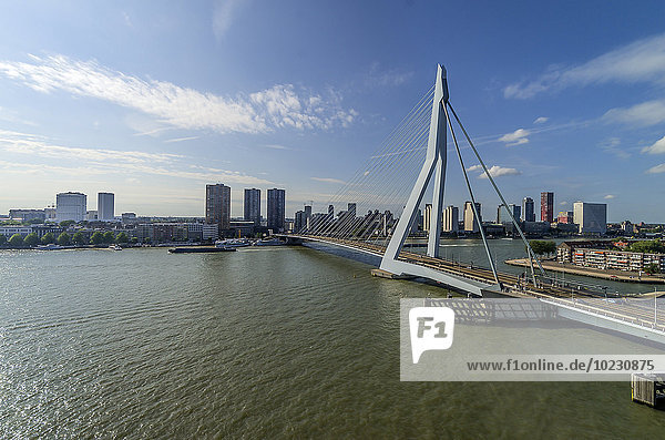 Netherlands  Rotterdam  view to Erasmusbrug with city centre with in the background