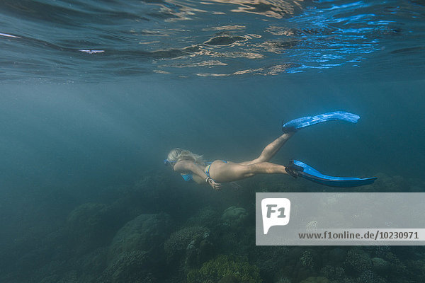 Indonesia  Bali  female snorkeller  snorkeling