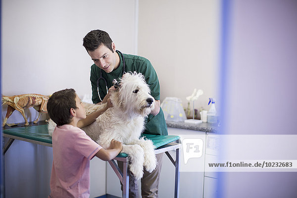 Junge bei einem Tierarzt bei der Untersuchung seines Hundes